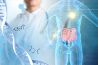 人菌共代谢物质检测