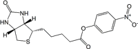 Biotin-ONP / Biotin-ONP