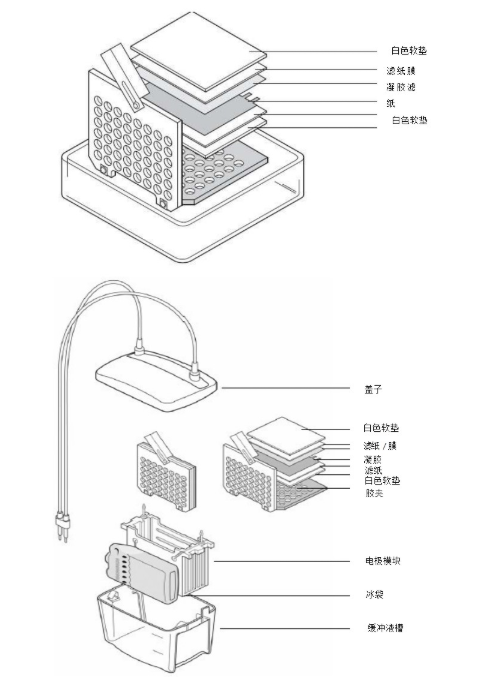 bio-rad伯乐小型垂直电泳转印套装1658033