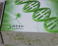 人肠道病毒68型IgG抗体检测试剂盒