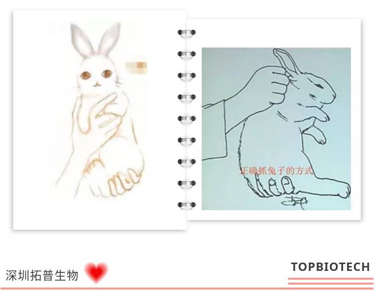 新闻图片6