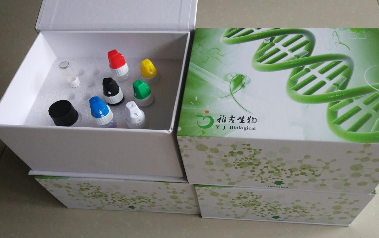 乙型流感病毒Victoria IgM 抗体检测试剂盒