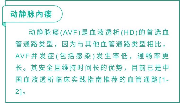 动静脉內瘘实验技术指南