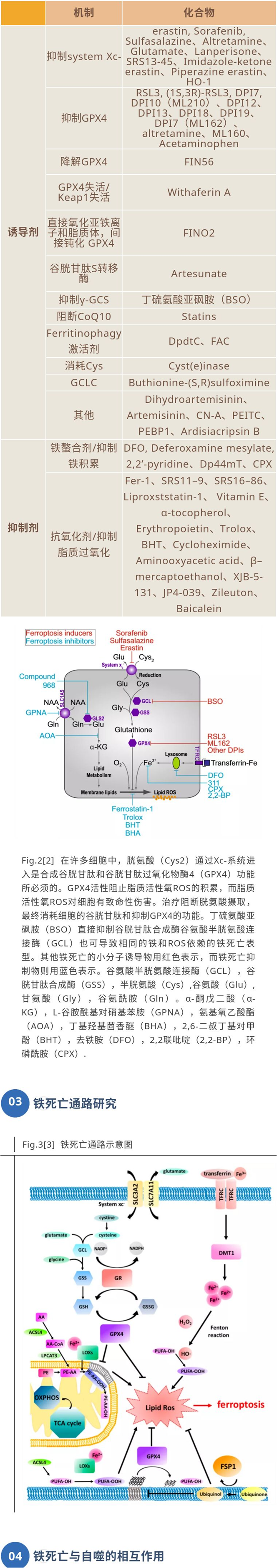 新闻图片3