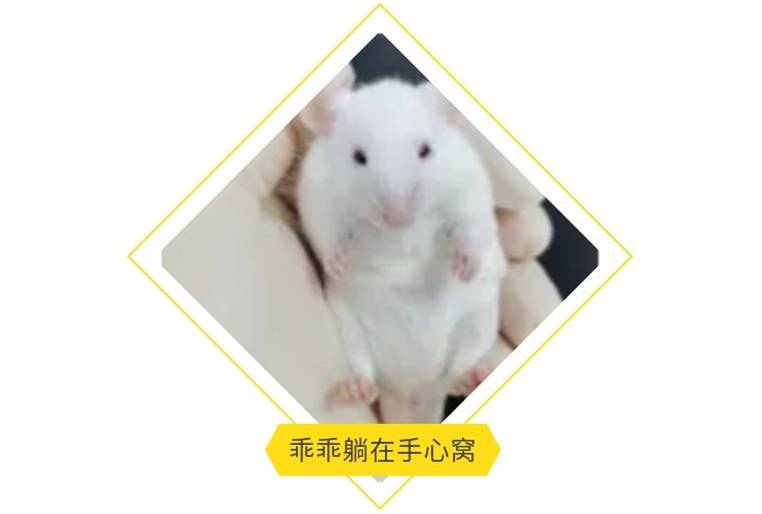 新闻图片7