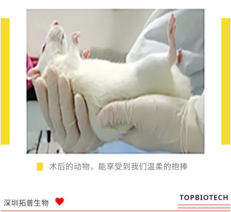 新闻图片8