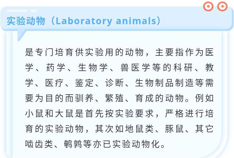 【拓普课堂】抓取实验动物技巧一二