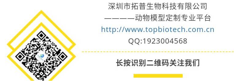 新闻图片9