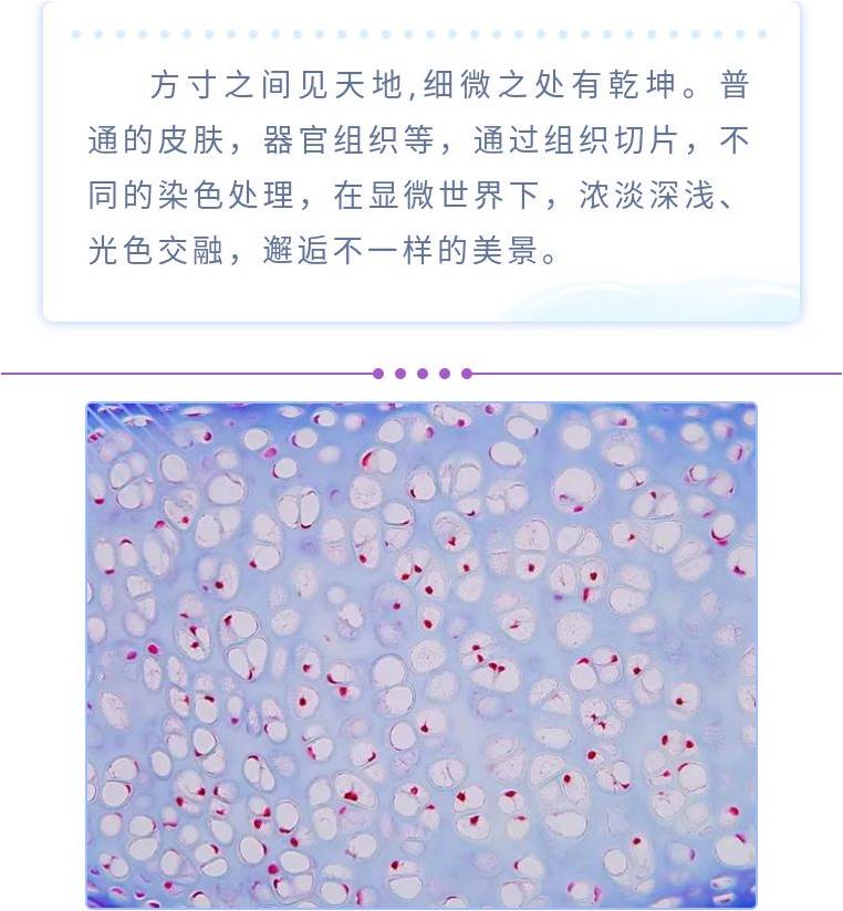 拓普课堂之微世界，那么美