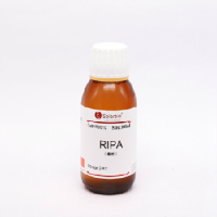 高效RIPA组织/细胞快速裂解液