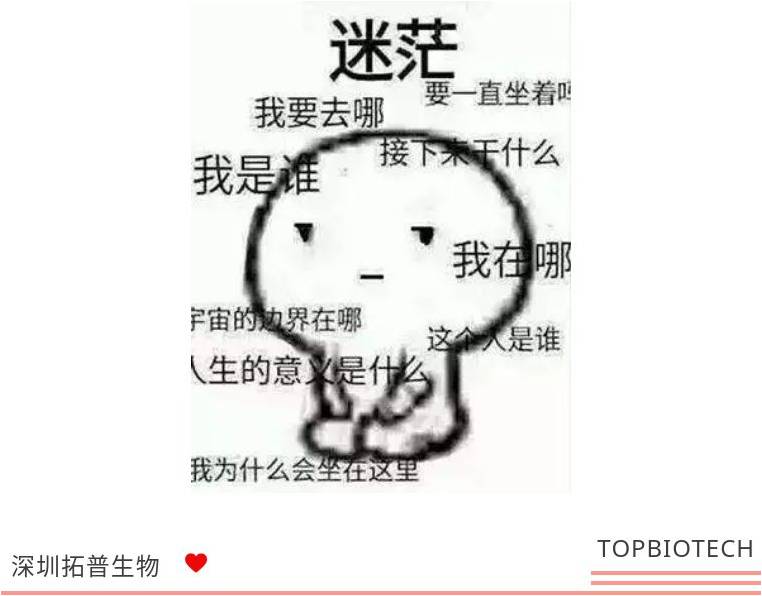 新闻图片2