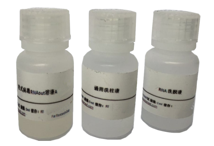 5′-核苷酸检测试剂盒