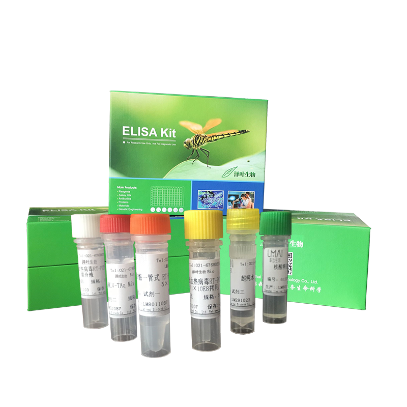 猪流感抗体ELISA检测试剂盒