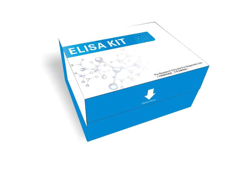 人皮质醇（Cortisol）ELISA试剂盒