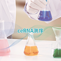 ceRNA测序