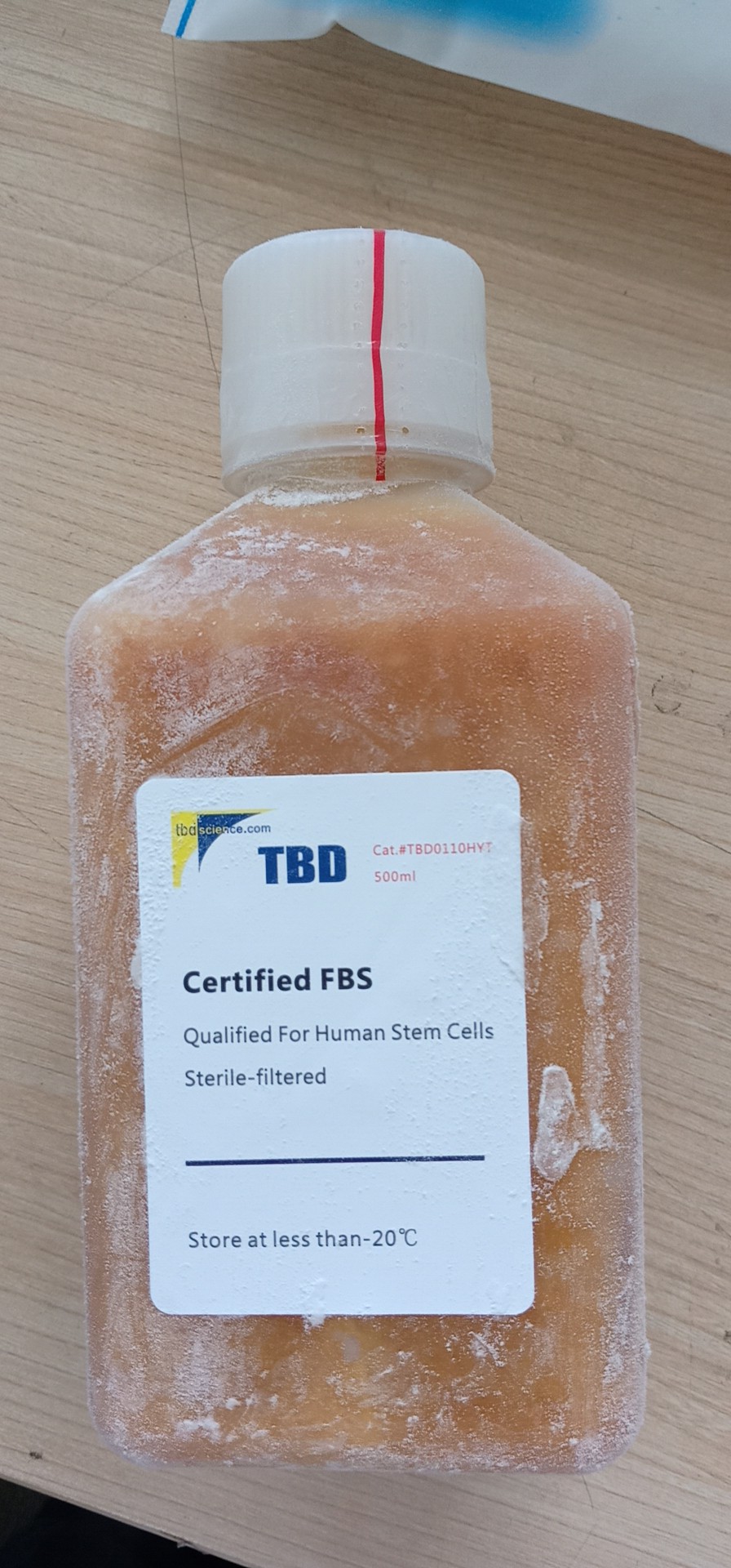特殊特级胎牛血清（间充质干细胞专用）FBS (南美血源)