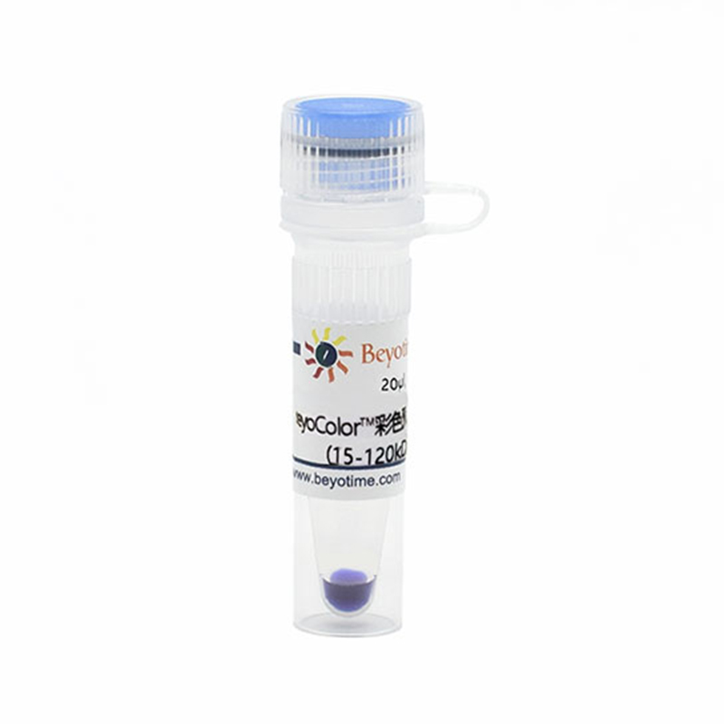 BeyoColor™彩色预染蛋白分子量标准(15-120kD)(试用装)