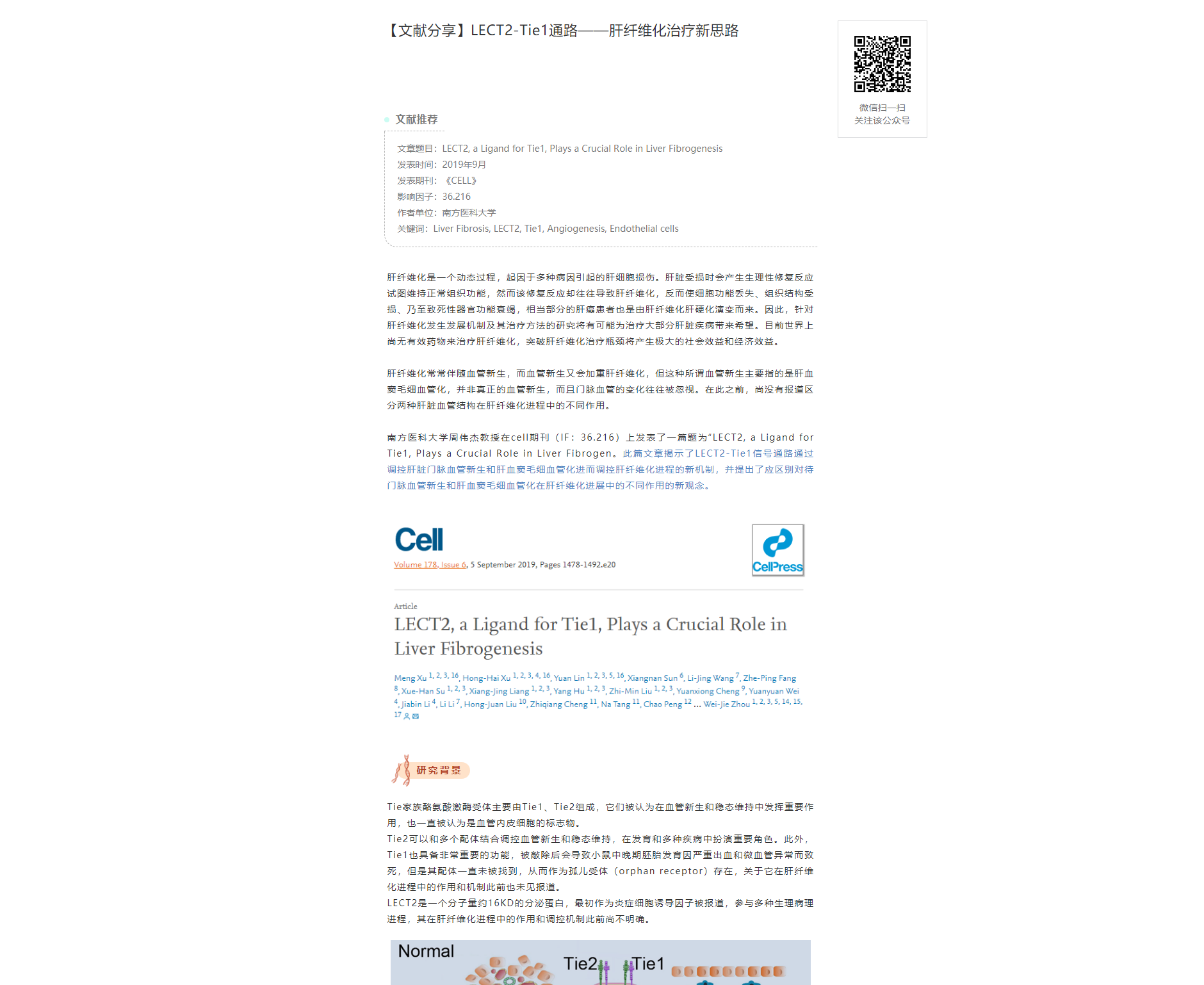 【文献分享】LECT2-Tie1通路——肝纤维化治疗新思路