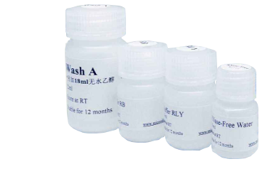 脂肪组织蛋白提取试剂盒（蛋白组实验、质谱适用）