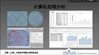 平板克隆结果分析/免疫组化实验结果分析/细胞数量统计