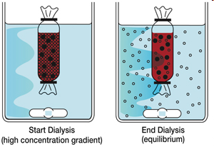 透析袋如何选择与使用
