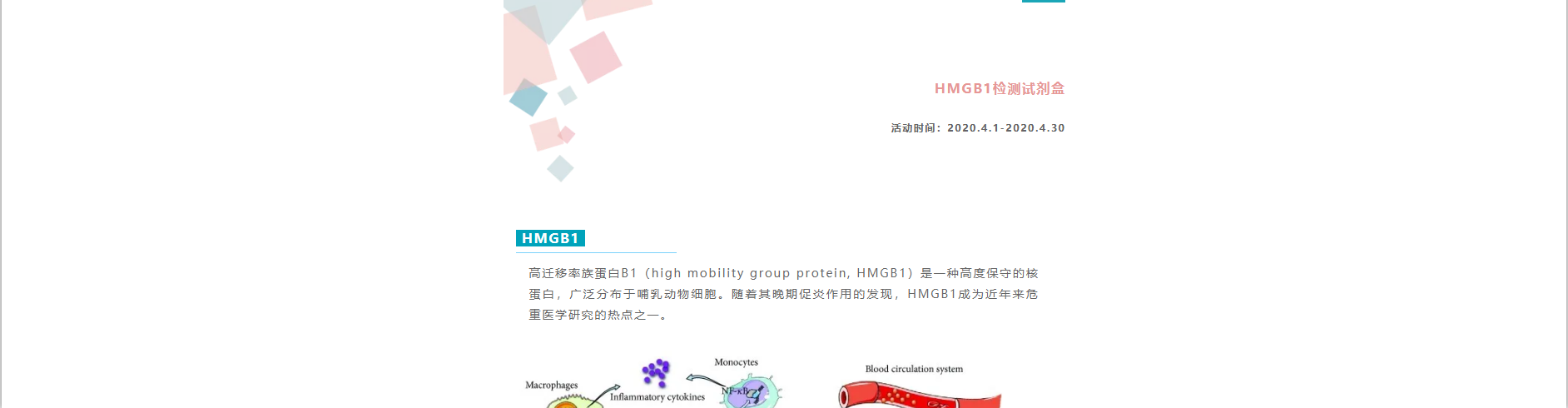 【四月明星产品促销】IBL-HMGB1检测试剂盒