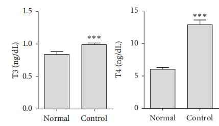 甲状腺功能亢进动物模型