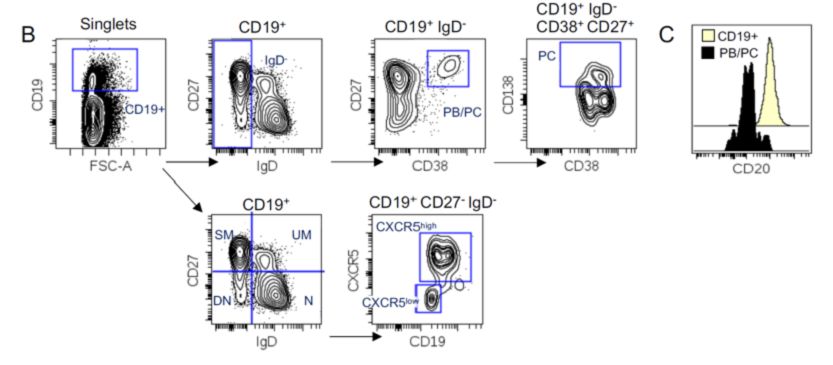 23色自身免疫性疾病方案T和B细胞亚群的设门