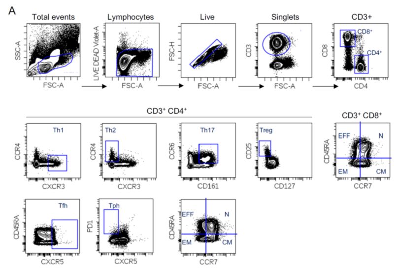 23色自身免疫性疾病方案T和B细胞亚群的设门