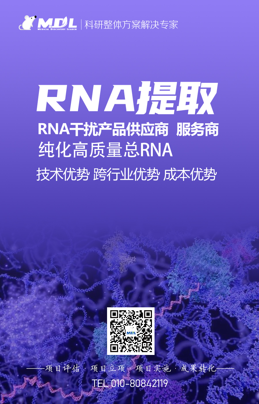 RNA提取