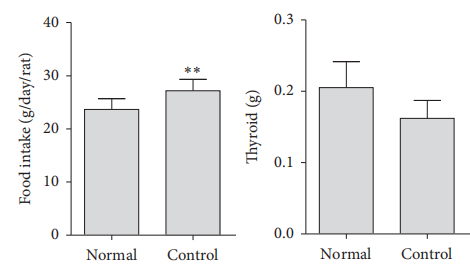 甲状腺功能亢进动物模型