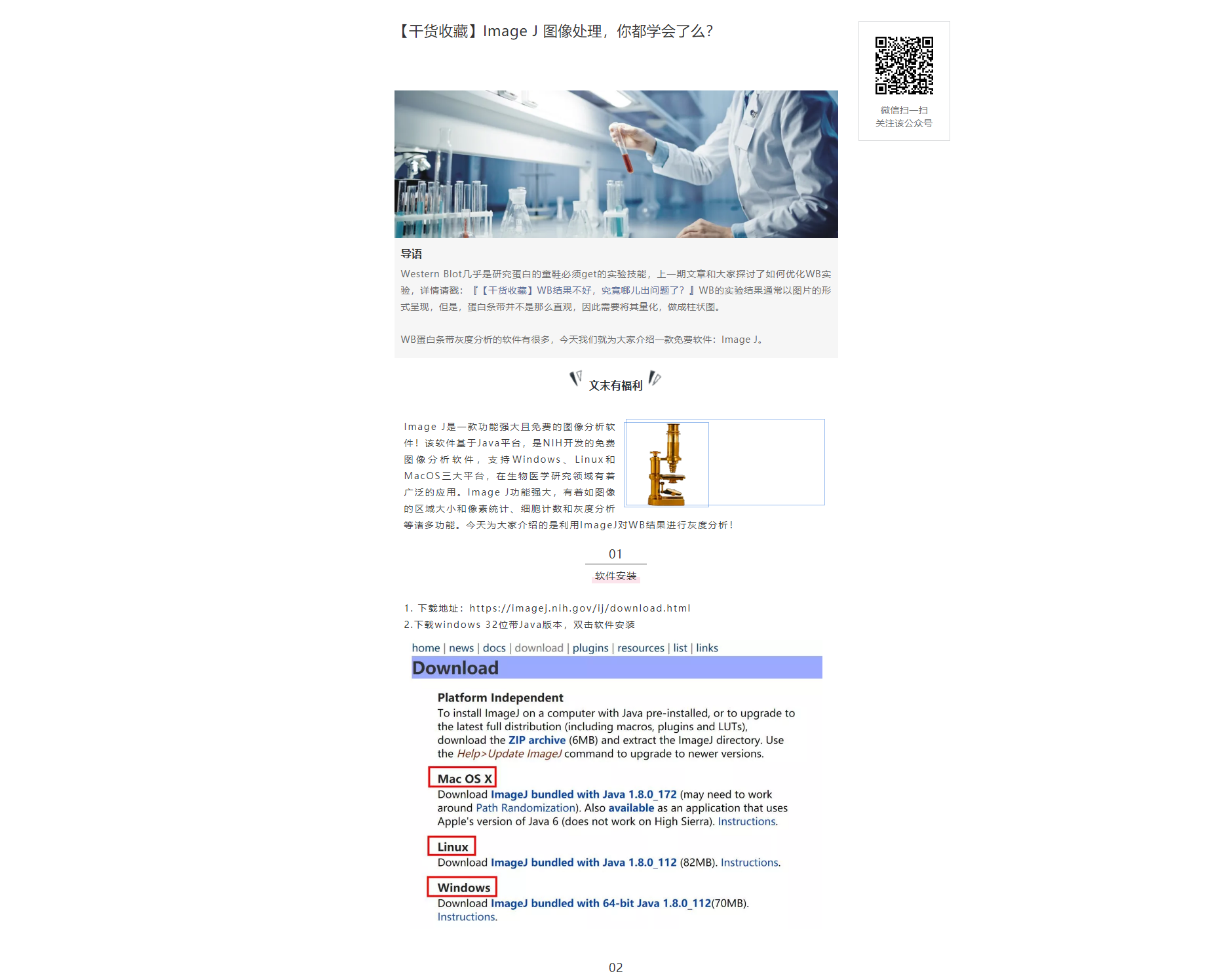 【干货收藏】Image J 图像处理，你都学会了么？