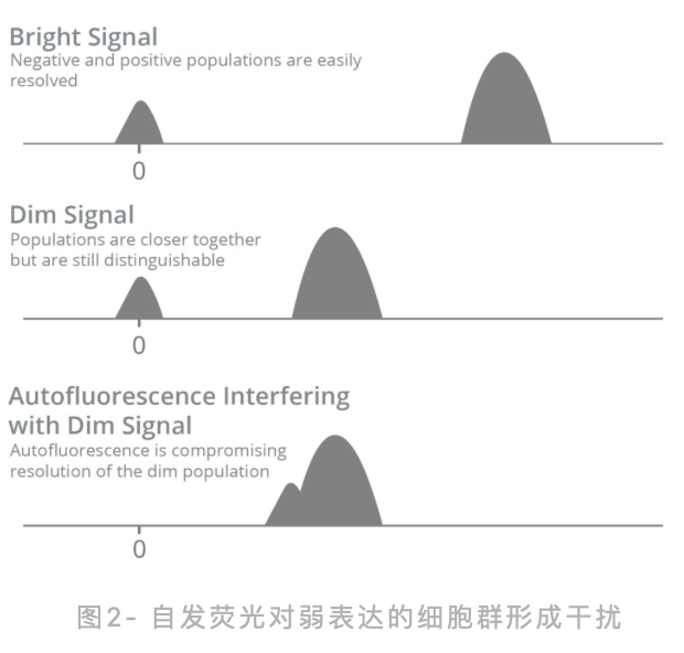 自发荧光高？光谱流式来帮忙！