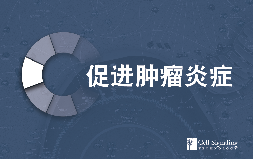 重温 Hallmarks of Cancer 第三节:促进肿瘤炎症丨开学复工经费节省不停歇，买二赠一促销延长，精彩继续！