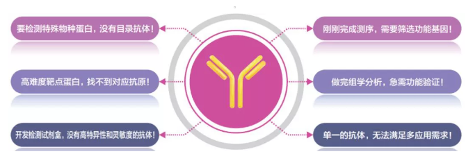 喜报，IF=9.56，西南大学科研团队揭示蚜虫翅型分化的分子调控机制