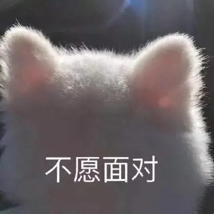 图片11.png