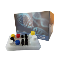  Water, Dnase/RNase-Free, DEPC Treated