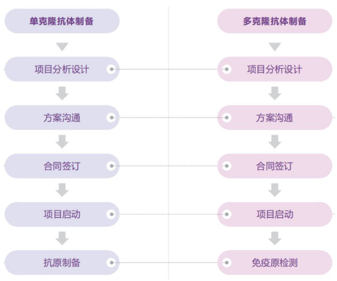 喜报,IF=9.56,西南大学科研团队揭示蚜虫翅型分化的分子调控机制