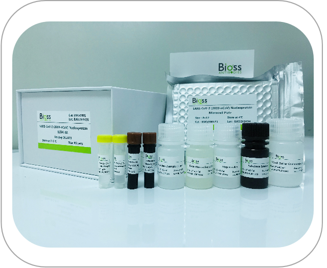 SARS-CoV-2 (2019-nCoV) Nucleoprotein ELISA Kit