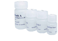  HT Media Supplement(50×)