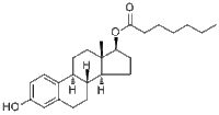 Estradiol heptanoate说明书