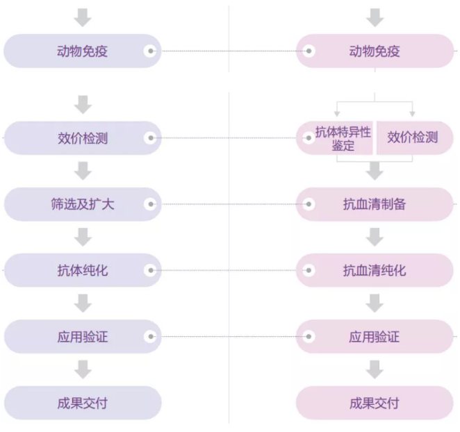 喜报，IF=9.56，西南大学科研团队揭示蚜虫翅型分化的分子调控机制