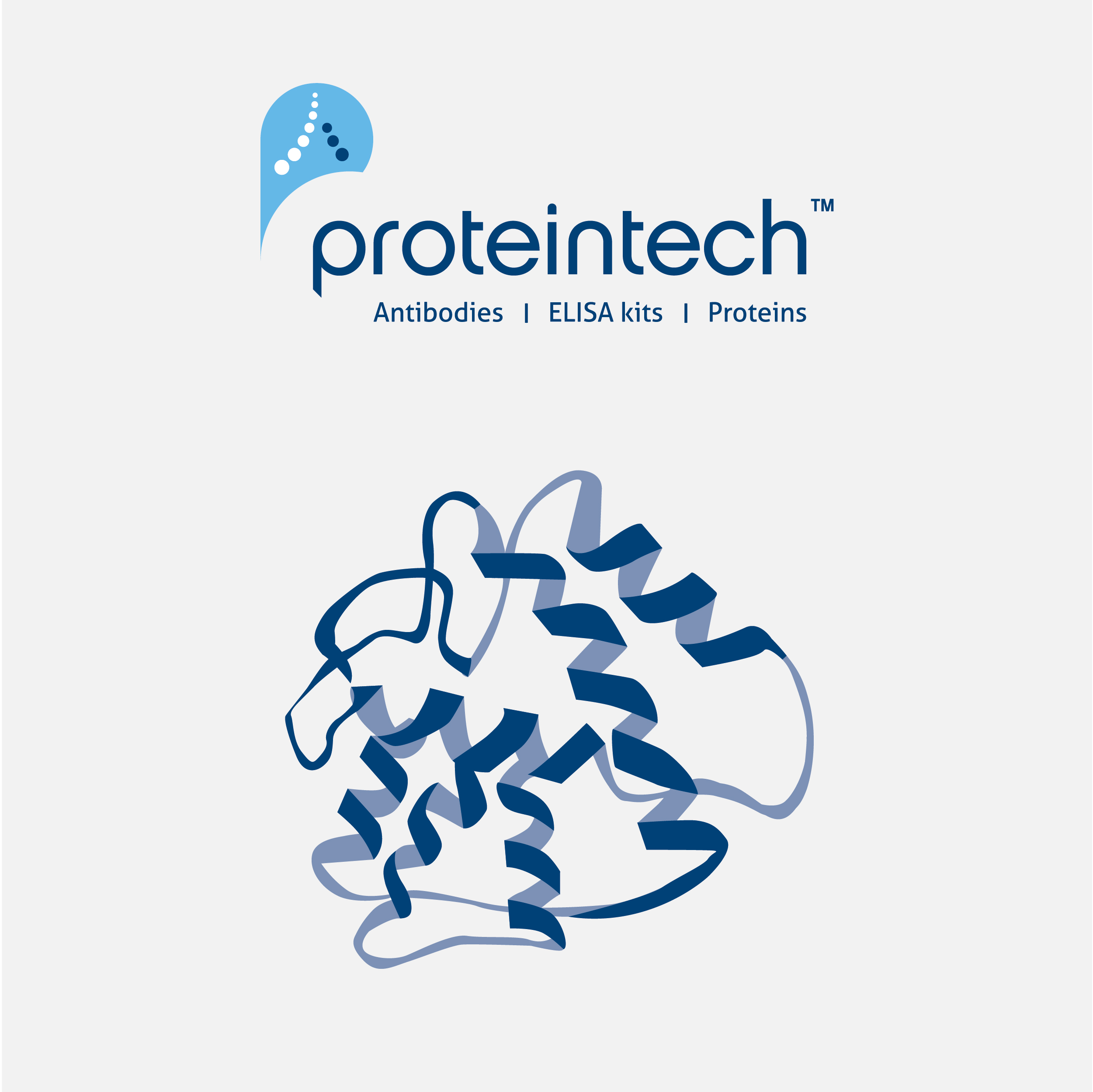Proteintech 高活性人源蛋白