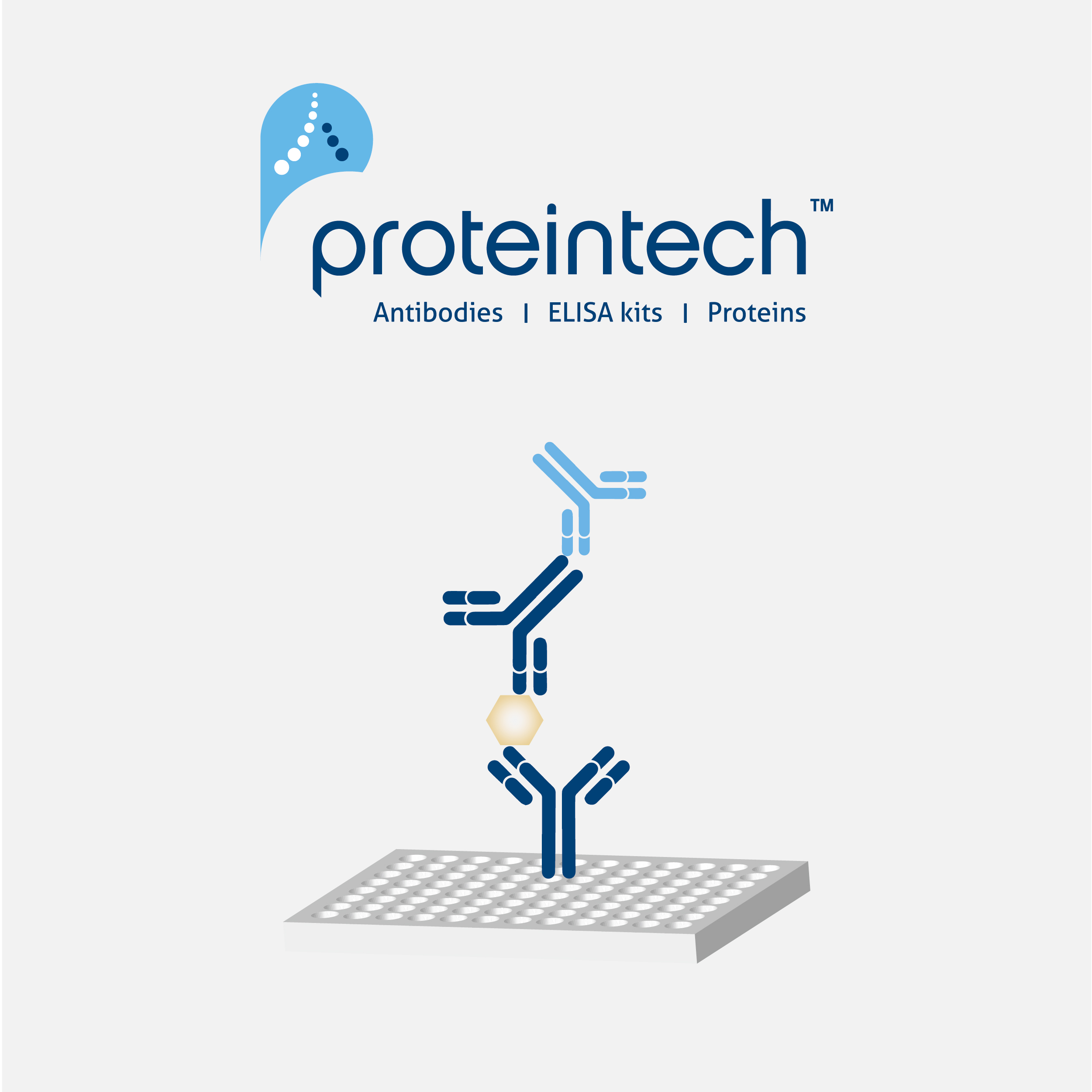 Proteintech 双抗夹心法ELISA试剂盒