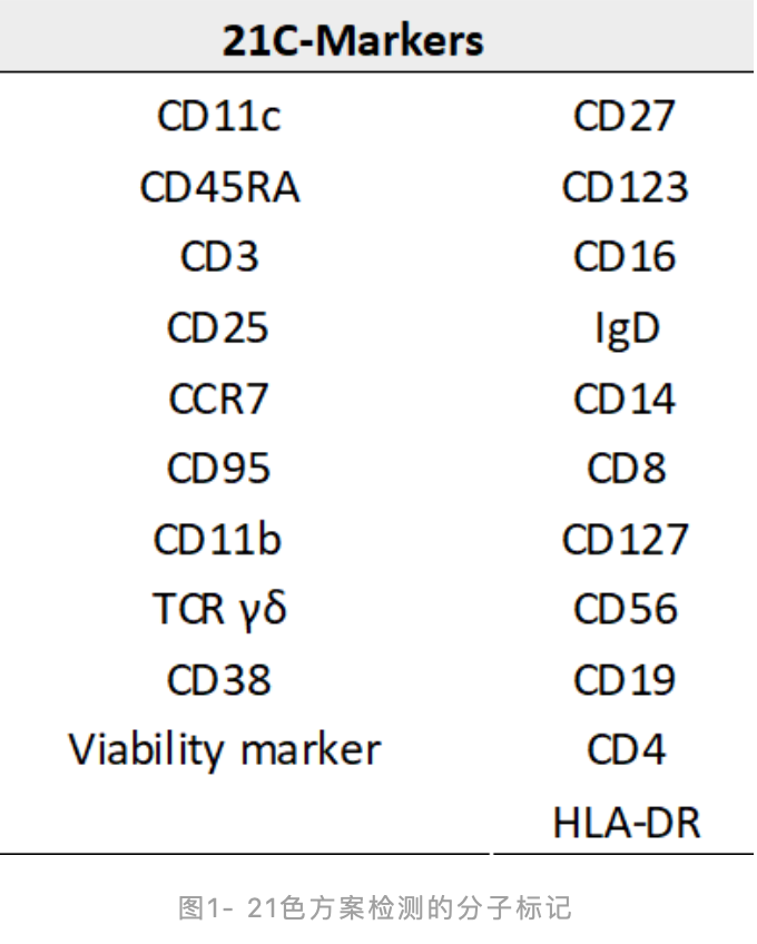 两激光可以做超过20色的流式实验吗？