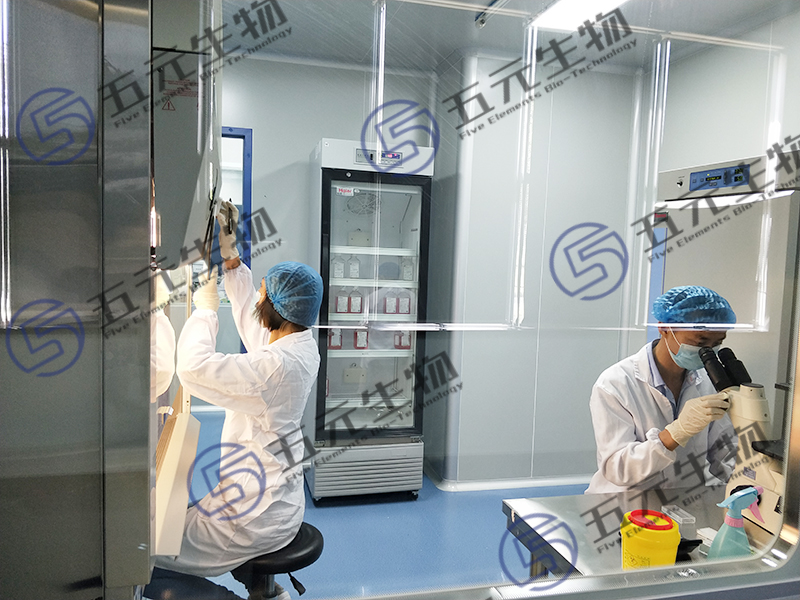 类器官科研服务平台