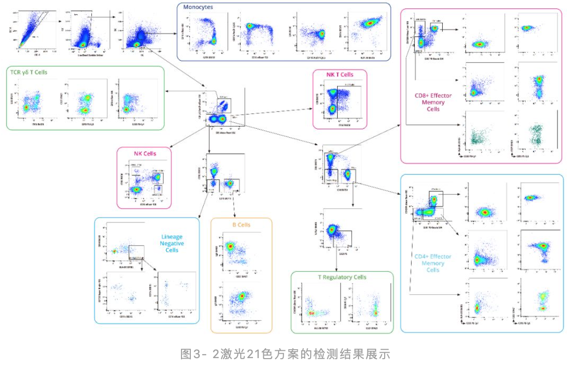 两激光可以做超过20色的流式实验吗？