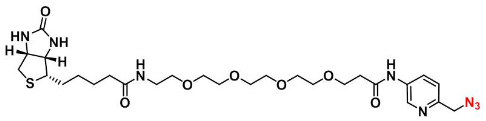 Biotin-PEG4-Picolyl azide / Biotin-PEG4-Picolyl azide