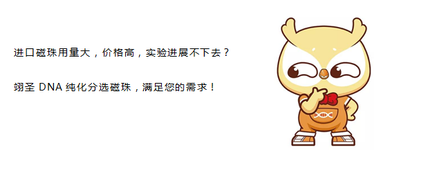 精品推荐|NGS实验小助手，纯化、分选皆全能