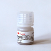 Snailase　蜗牛酶